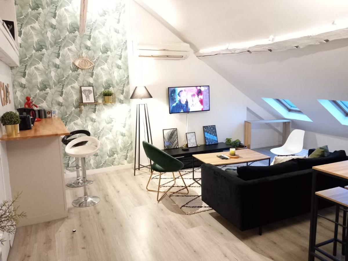 Magnifique Appartement En Hyper-Centre ! Poitiers Zewnętrze zdjęcie